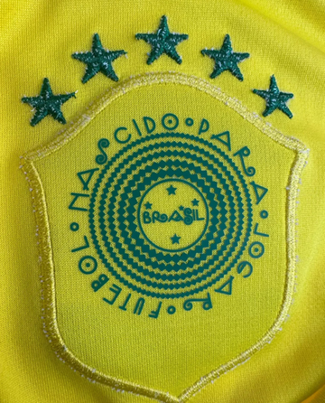 Brésil 2014 (Domicile)