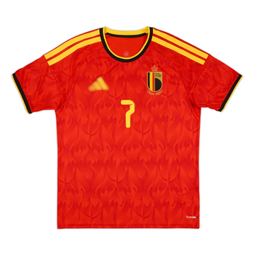 Belgique 2026 (Domicile)