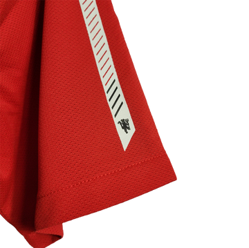 Manchester United 2010/11 (Domicile)